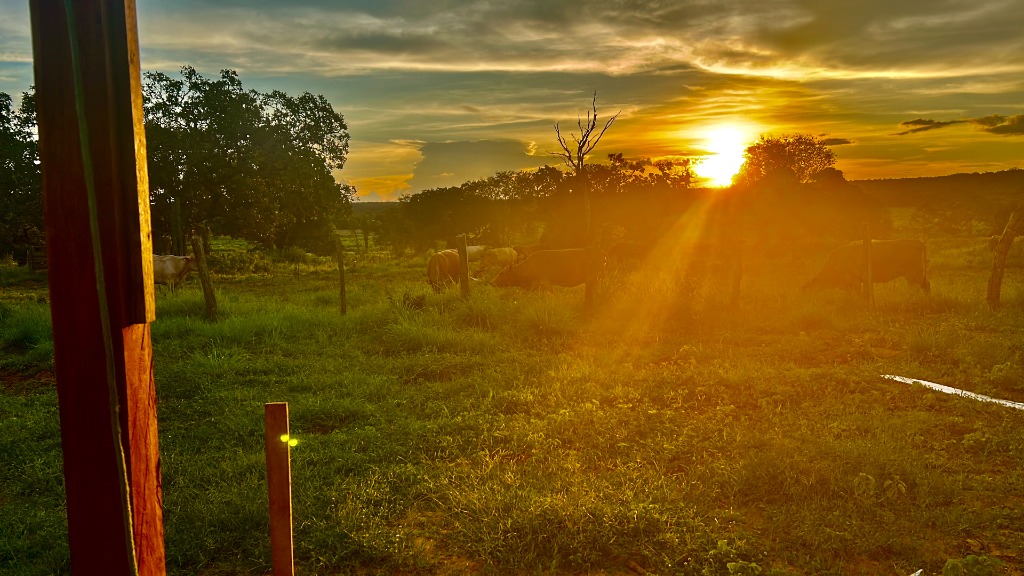 Portal de madeira rústica da Fazenda Rancho Fundo